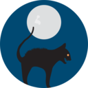 animals,spooky,scary,halloween,horror,terror,fear,black cat,frightening